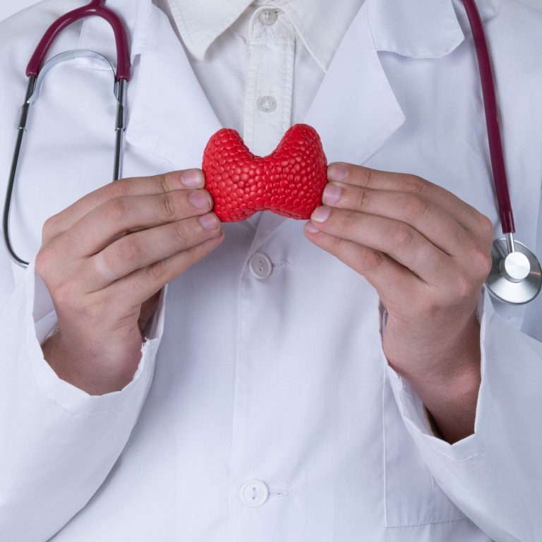 Male doctor with a stethoscope is holding mockup thyroid gland. Help and care concept